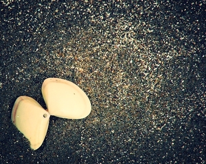 2015-07-15 00.16.56-2